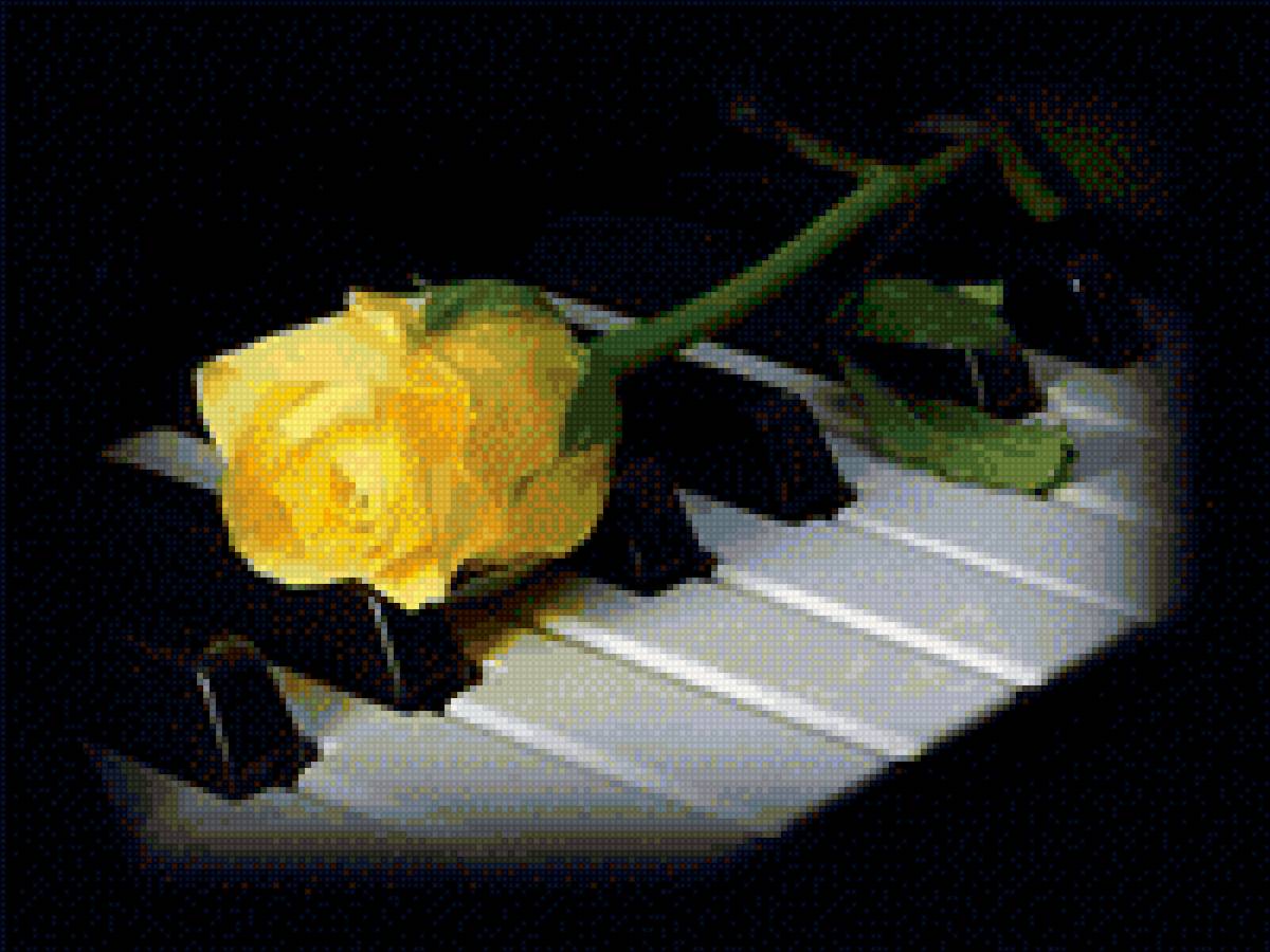 Жёлтая роза на пианино - предпросмотр