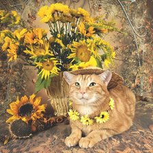 Схема вышивки «№2202610»