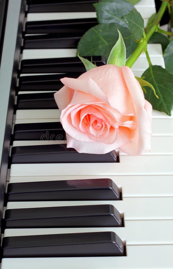 Розовая роза на пианино - оригинал