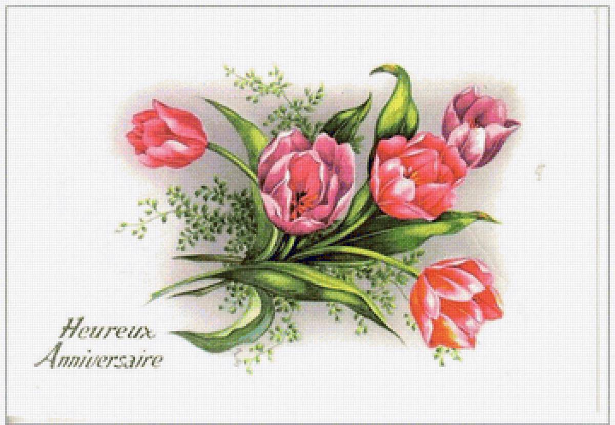 tulipány - предпросмотр