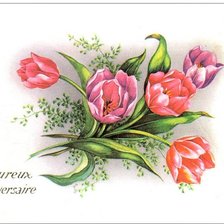 Схема вышивки «tulipány»