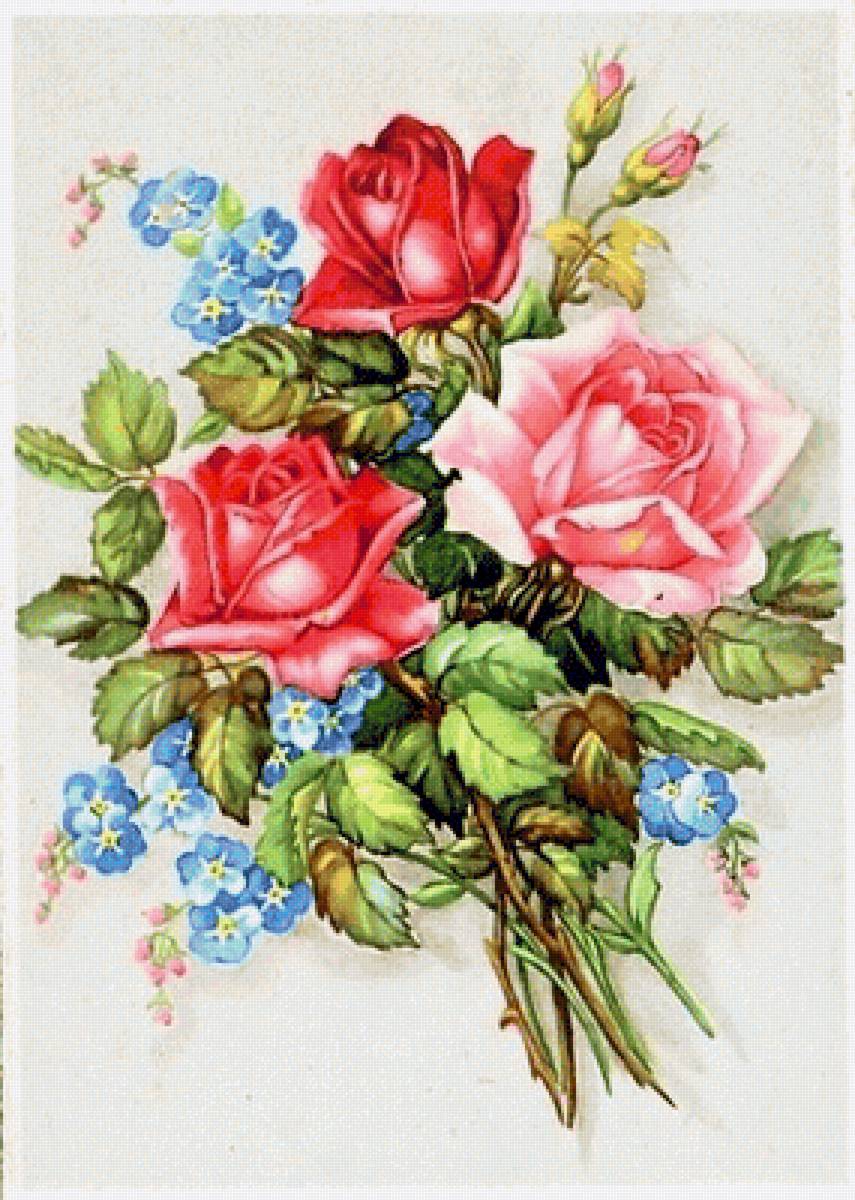 ruze - предпросмотр