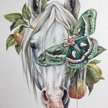 Схема вышивки «Красень»