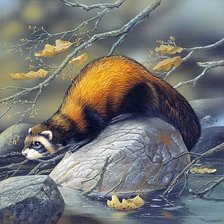 Схема вышивки «Куница»