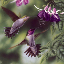 Схема вышивки «Пара»