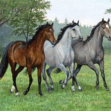 Схема вышивки «ЛОШАДИ»