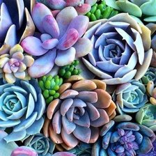 Схема вышивки «пра»