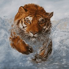 Схема вышивки «Тигр»