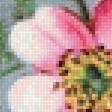 Предпросмотр схемы вышивки «jablonovy kvet» (№2203453)