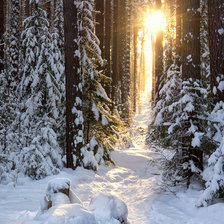 Зимний пейзаж