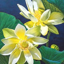 Схема вышивки «№2203560»