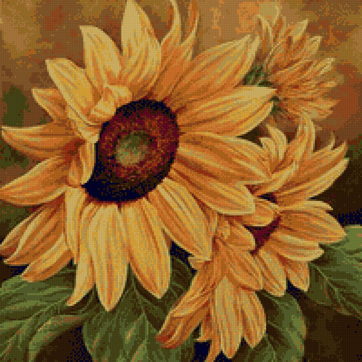 подсолнух - предпросмотр