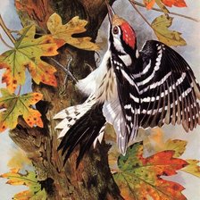 Схема вышивки «птицы»