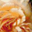 Предпросмотр схемы вышивки «Натюрморт с гранатом» (№2204200)
