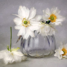 Схема вышивки «№2204457»