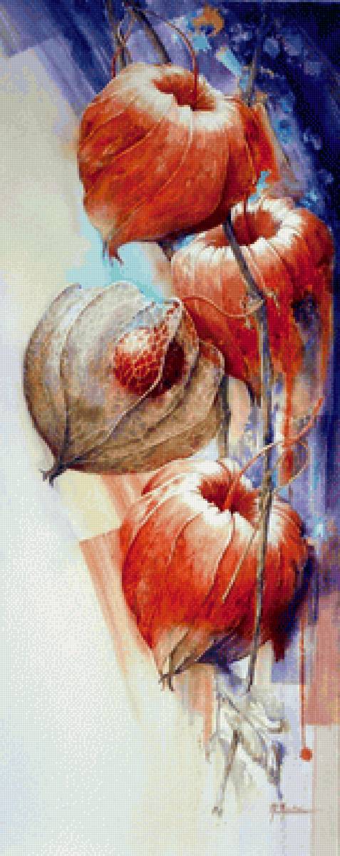 физалис - картина - предпросмотр