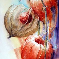 Схема вышивки «физалис»