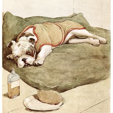 Досуг джентльмена