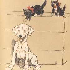 Два черных, один белый