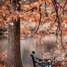 Схема вышивки «Осінь»