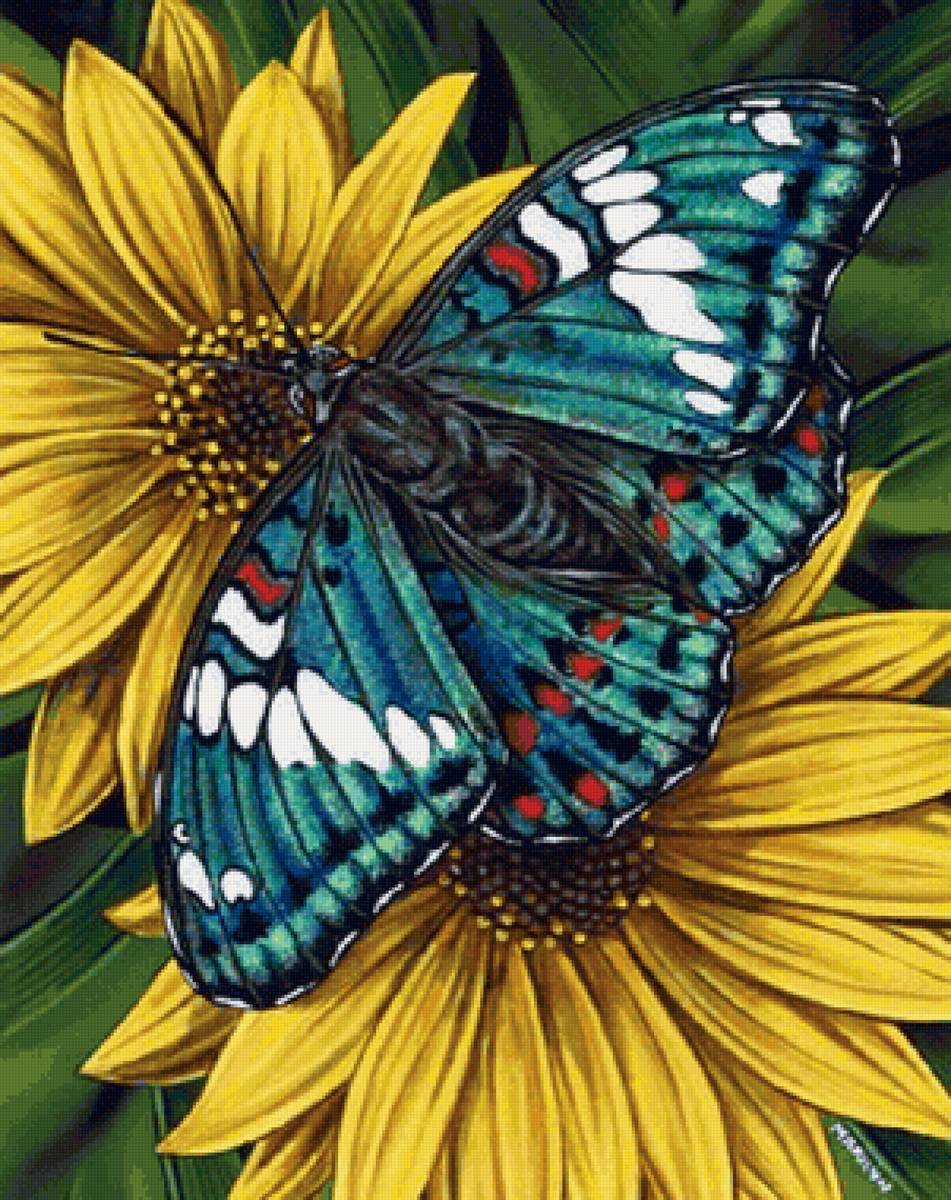 Borboleta, com margaridas. - flores .borboleta. - предпросмотр