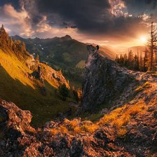 Схема вышивки «Природа»