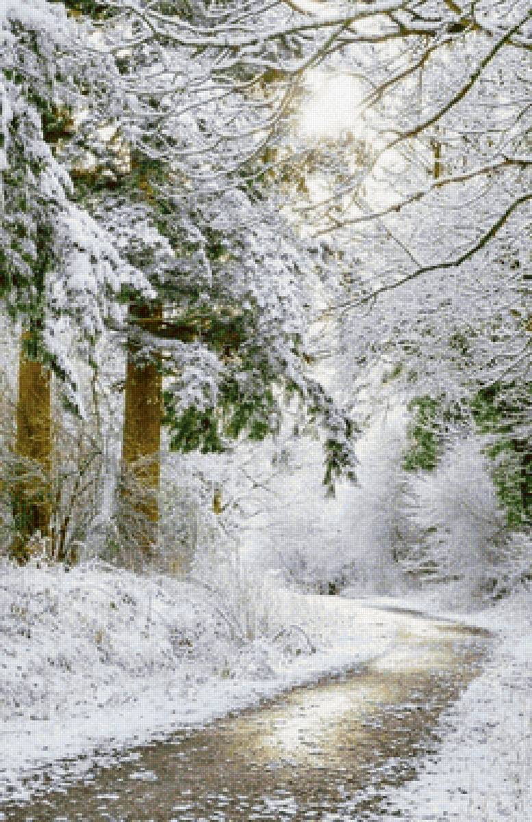 Caminhos congelados. - gelo.inverno., floresta - предпросмотр