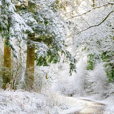 Схема вышивки «Caminhos congelados.»