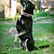 Схема вышивки «Эдмон»