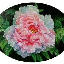Схема вышивки «Peônias»