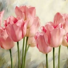 Схема вышивки «Тюльпаны 3»