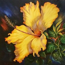 Жёлтый гибискус