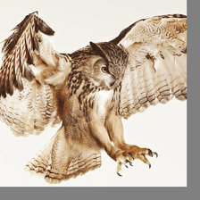 Схема вышивки «Серия "Птицы"»