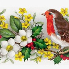 Схема вышивки «Птица»