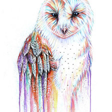 Схема вышивки «Сова»