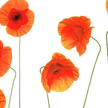 Схема вышивки «№2206027»