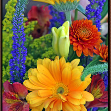 Схема вышивки «Красивый букет»