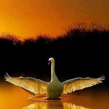 Схема вышивки «Лебедь»