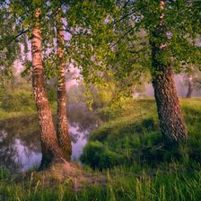 Схема вышивки «У ручья»