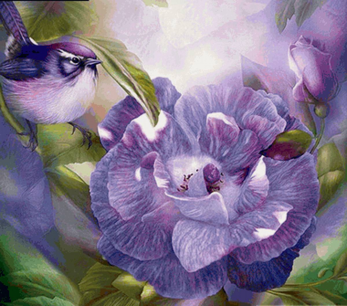 Rosa lilas. - rosas., pássaro - предпросмотр