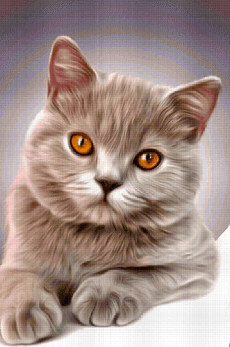 Gato. - animais. - предпросмотр