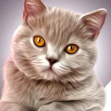 Схема вышивки «Gato.»