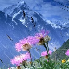 Paisagens de montanhas.