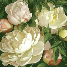 Схема вышивки «Белые пионы»