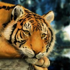 Схема вышивки «счастье есть»