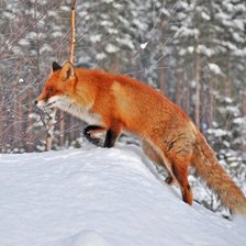 Схема вышивки «зимняя сказка»