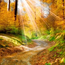 Схема вышивки «№2206761»