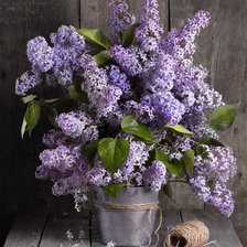 Схема вышивки «Сирень»