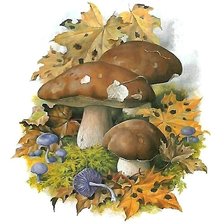 Схема вышивки «грибы»