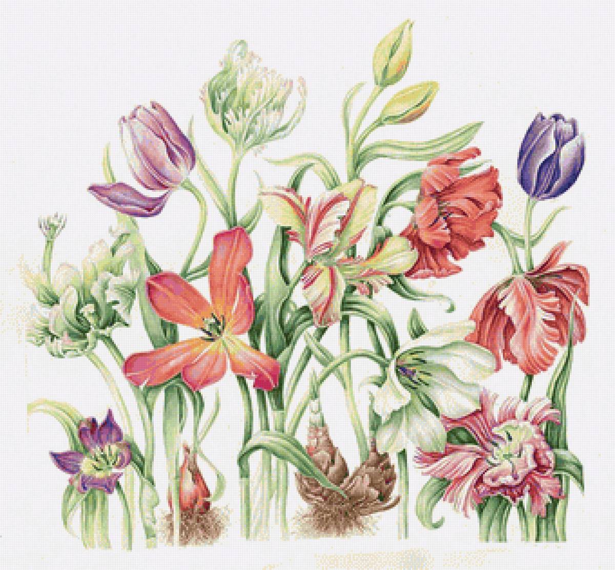 №2207071 - тюльпаны - предпросмотр